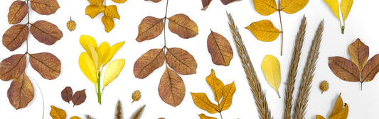 Autumn Nature Crafts in Australia: Celebrate the Season with Leaves and Dried Flowers