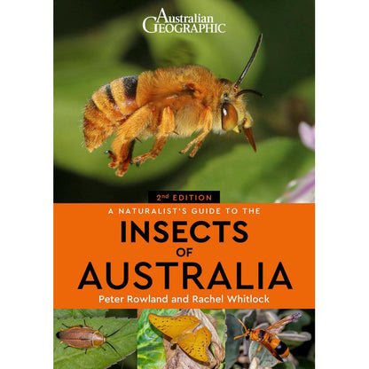 A Naturalist's Guide to the Insects of Australia