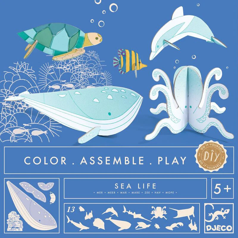 Cut Out Sea Life