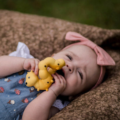 Caterpillar - Garden Friend Teether / Mainan Mandi