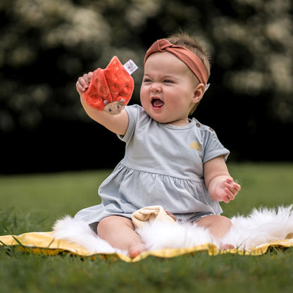 Ladybird Sensory Crinkle Toy