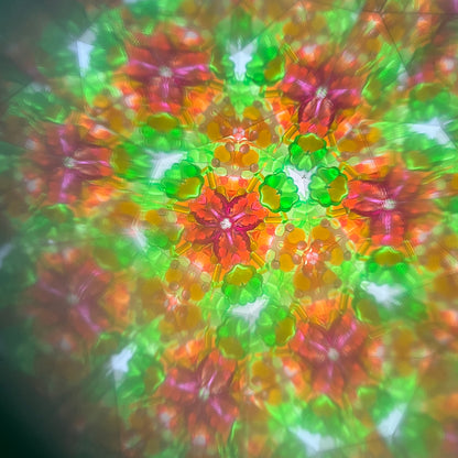 Peacock Kaleidoscope