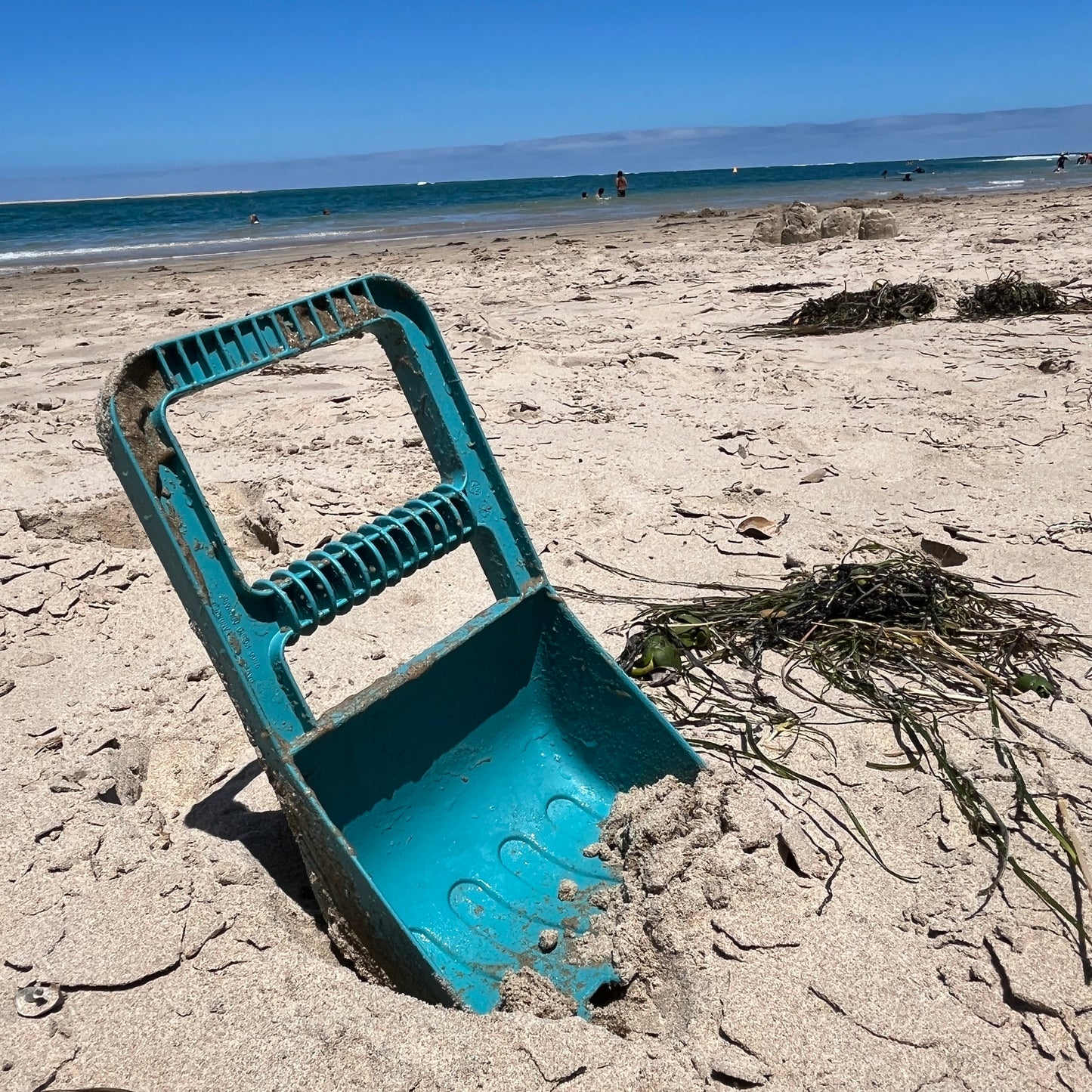 'Blue Marine' Hand Sand Digger