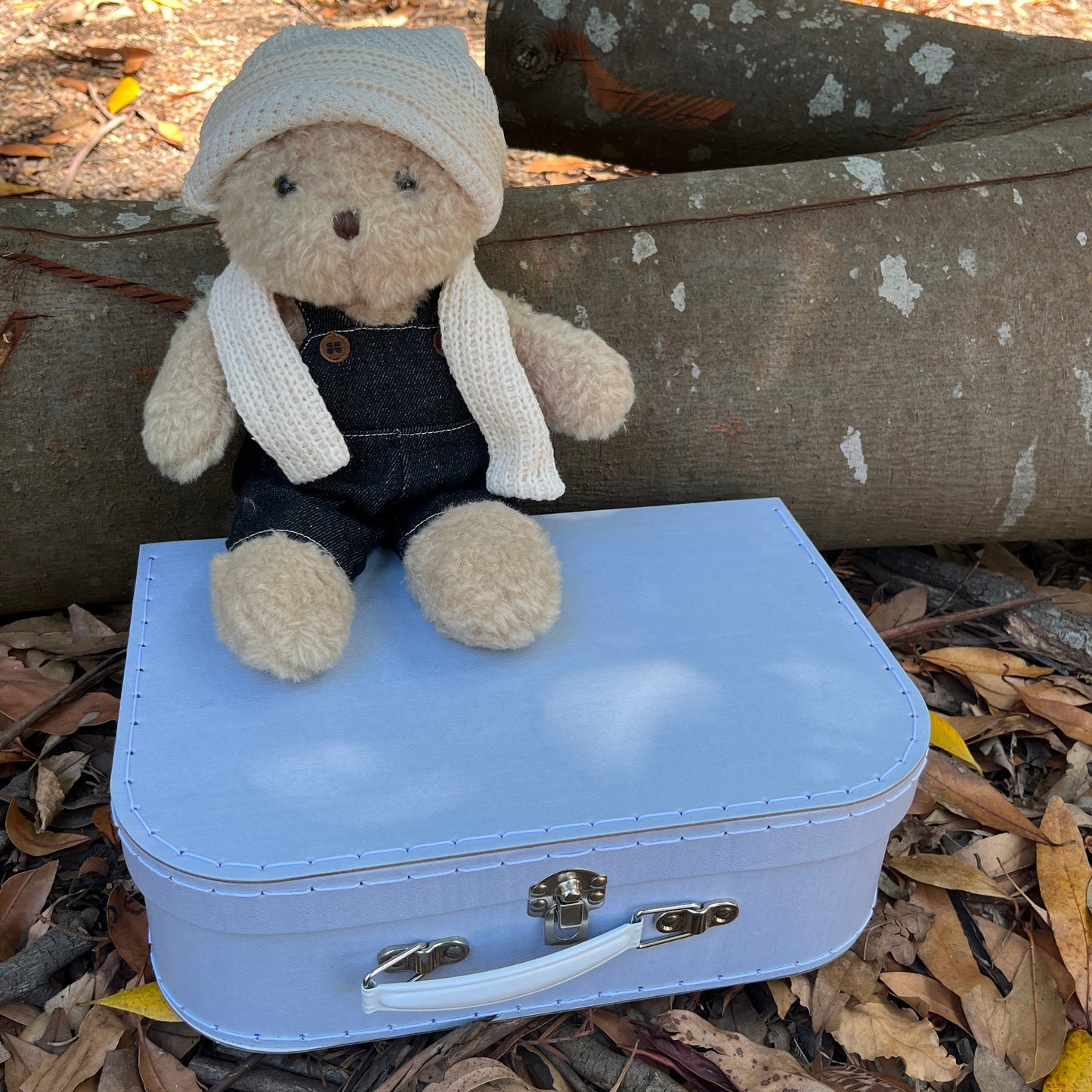 'Morris' 28cm Teddy Bear with Clothes and Case