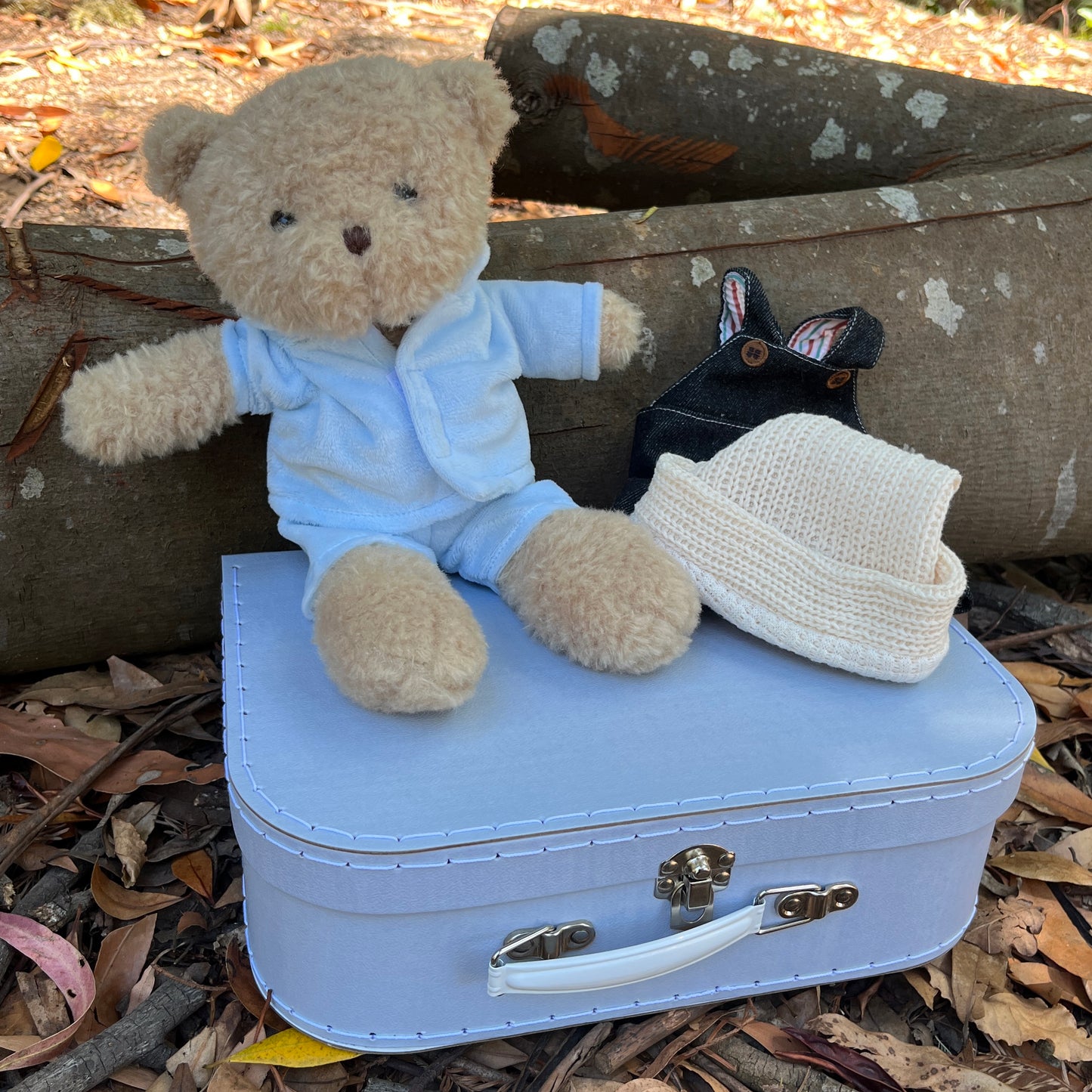 'Morris' 28cm Teddy Bear with Clothes and Case