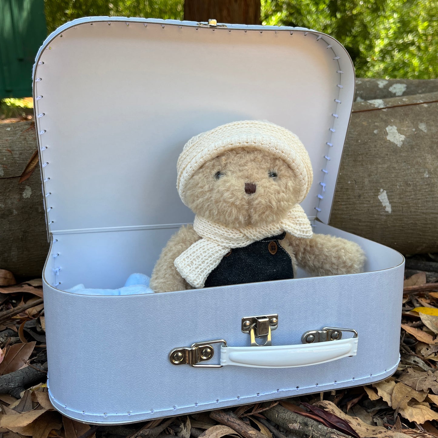 'Morris' 28cm Teddy Bear with Clothes and Case