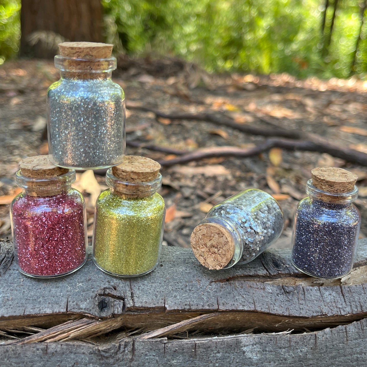 Biodegradable Eco Glitter - Large Jar